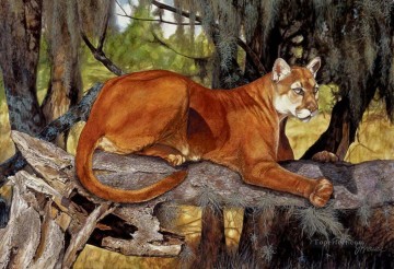 ライオン01 Oil Paintings